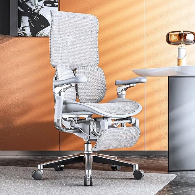 imgi_6_1755243475-1 Ergonomisk kontorstol i premiumklasse med fotstøtte - Bilde 1